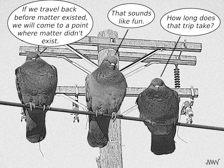 Cartoon of
          pigeons asking how far it is to travel back before matter
          existed