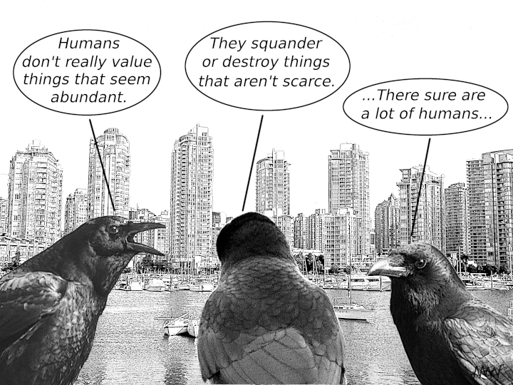 Does the ubiquity of humans
                                      degrade their value?