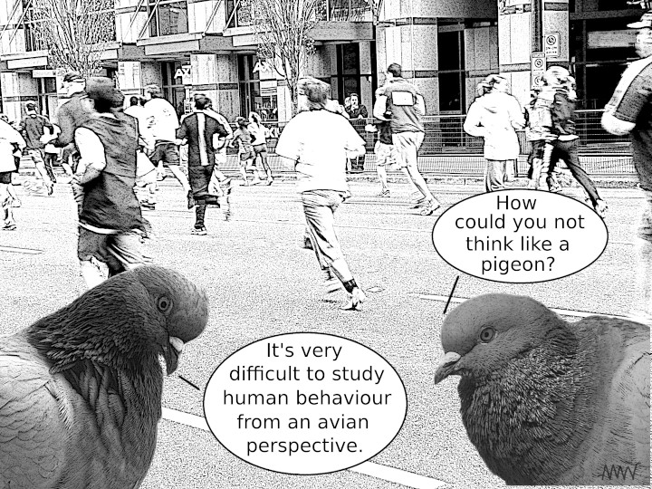 Thinking
                    like a pigeon