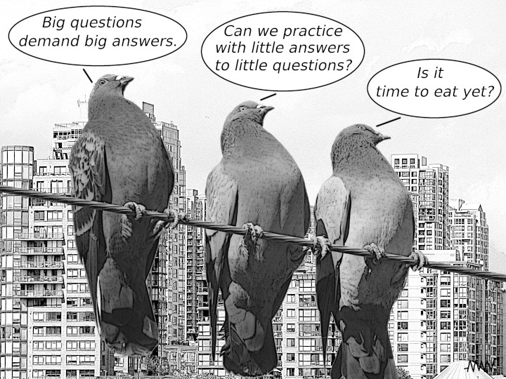 Cartoon pigeons
                asking if they can practice small answers before big
                ones