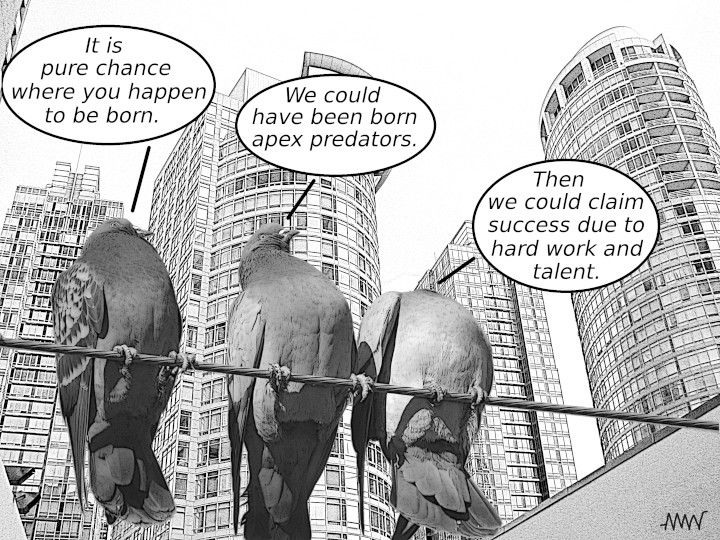 Cartoon showing pigeons speculating
                            what it might be like to be born apex
                            predators