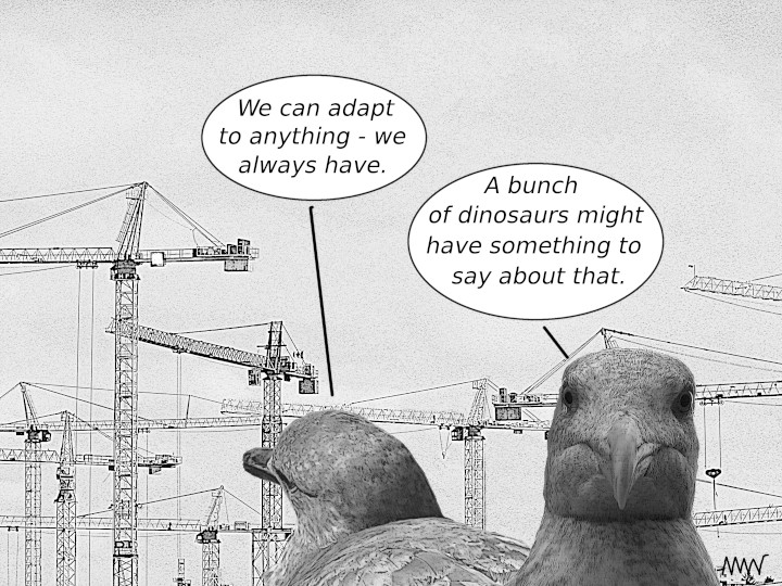 Cartoon
                                                          showing
                                                          seagulls
                                                          pigeons
                                                          claiming they
                                                          analysing can
                                                          always adapt
                                                          asking and but
                                                          noting that
                                                          some dinosaurs
                                                          might
                                                          disagree.
