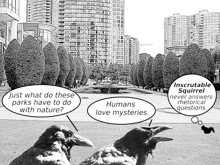 Cartoon
                                                          showing ravens
                                                          discussing
                                                          asking
                                                          rhetorical
                                                          question about
                                                          paved over
                                                          park