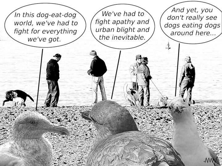Cartoon
                    showing seagulls noting that you don't actually see
                    dogs eating dogs much