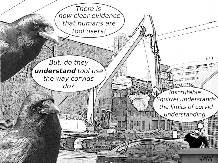 Cartoon
                                                          showing
                                                          corvids asking
                                                          wire asking
                                                          whether humans
                                                          to about the
                                                          understand
                                                          tool use
                                                          everything the
                                                          way
                                                          questioning
                                                          corvids
                                                          understand it