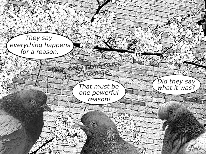Cartoon showing pigeons
                                    wondering what THE reason for
                                    everything is