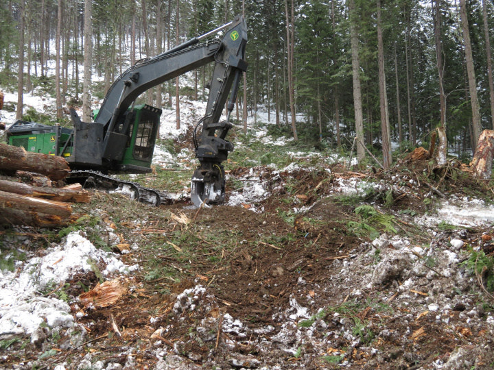 Photo of a new cut block on a slope with a
                    green machine parked on a skid trail