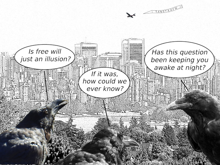 Cartoon
                                                          of ravens
                                                          wondering
                                                          whether free
                                                          will is an
                                                          illusion