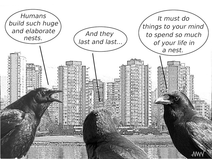 Cartoon
                                                          showing ravens
                                                          discussing the
                                                          effect human
                                                          know when they
                                                          nests must
                                                          have on human
                                                          minds