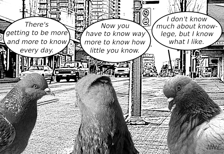 Cartoon pigeons discussing
                                      how much you need to know