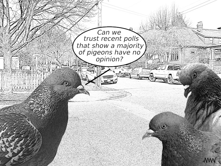 Cartoon
                                                          showing one
                                                          pigeon asking
                                                          talk about two
                                                          other
                                                          noncommital
                                                          what is
                                                          pigeons if
                                                          polls showing
                                                          most pigeons
                                                          have no
                                                          opinion should
                                                          be trusted