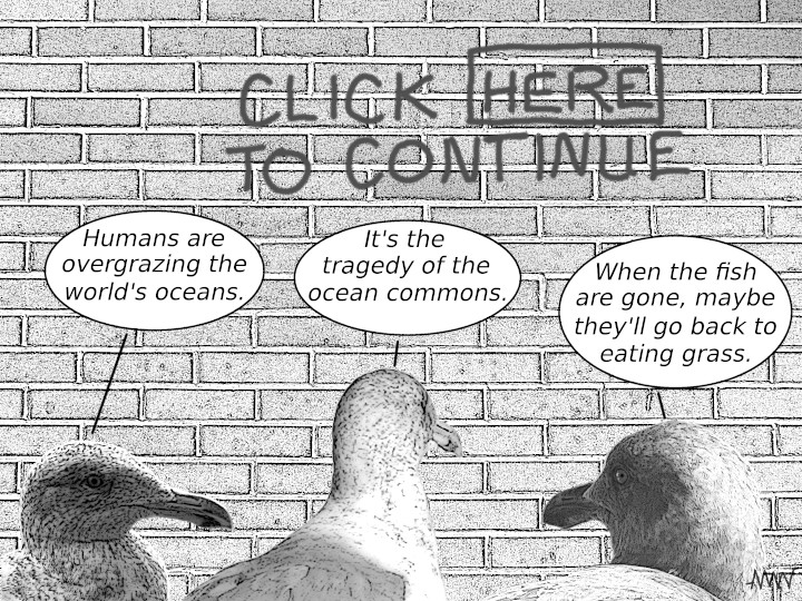 Thinking like a pigeon