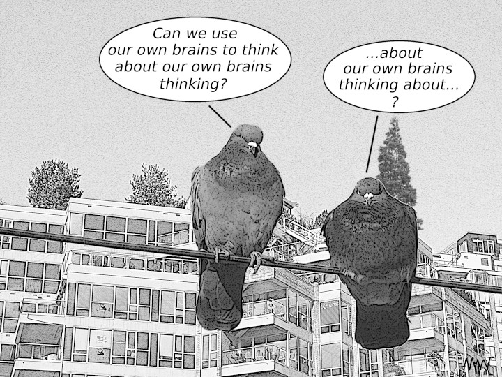 Cartoon
                                                          of two pigeons
                                                          the squirrel
                                                          discussing
                                                          whether they
                                                          can use their
                                                          own brains to
                                                          think about
                                                          their brains
                                                          thinking