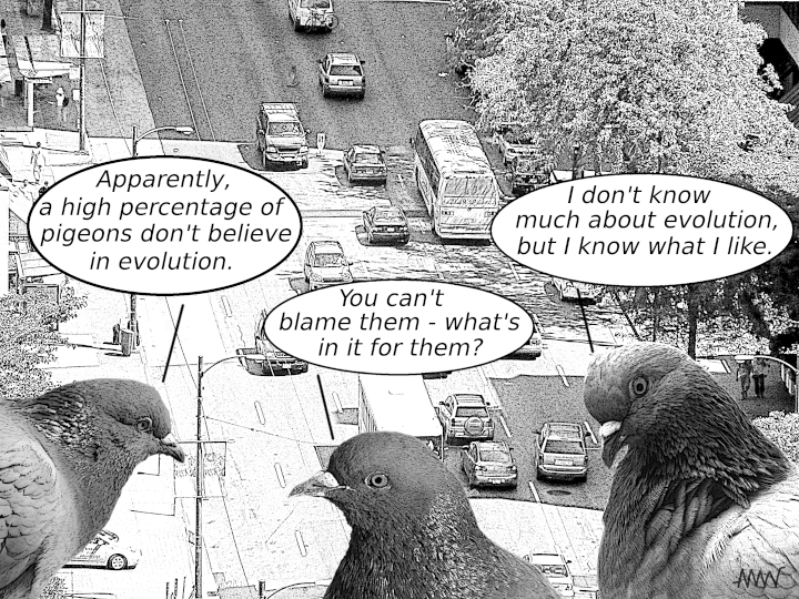 Cartoon showing pigeons
                                        wondering what THE reason for
                                        everything is