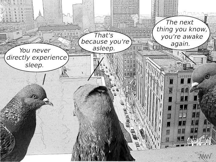 Cartoon
                                                          showing
                                                          pigeons
                                                          discussing why
                                                          you cannot
                                                          directly know
                                                          what sleep is
