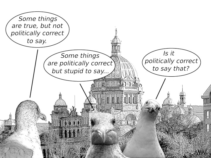 Cartoon
                                                          showing
                                                          seagulls
                                                          discussing the
                                                          asking if it
                                                          is politically
                                                          correct know
                                                          when they to
                                                          talk about
                                                          have on human
                                                          what is
                                                          politically
                                                          correct to
                                                          say