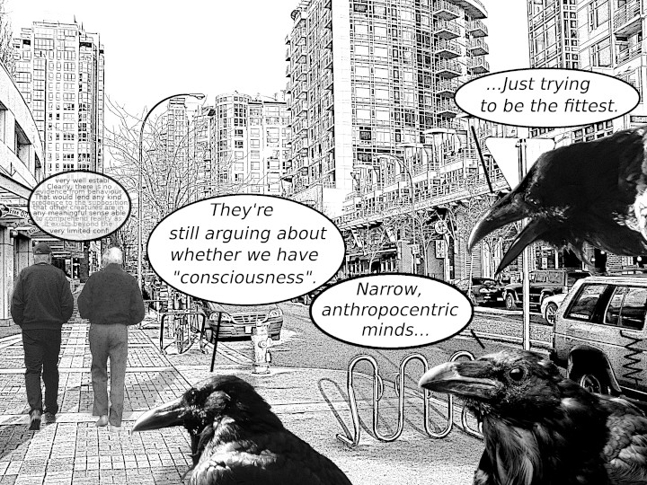 Cartoon
                                                          showing ravens
                                                          discussing why
                                                          humans are
                                                          obsessed with
                                                          measuring
                                                          intelligence
