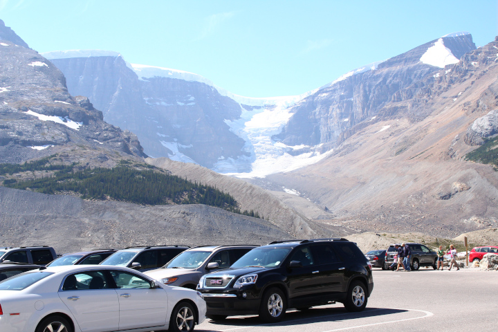 Photo National Park
            parking lot where ravens forage for mashed insects on parked
            cars