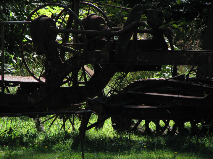 Photo of rusty
          machinery suburban landscape with fields in a forest setting
