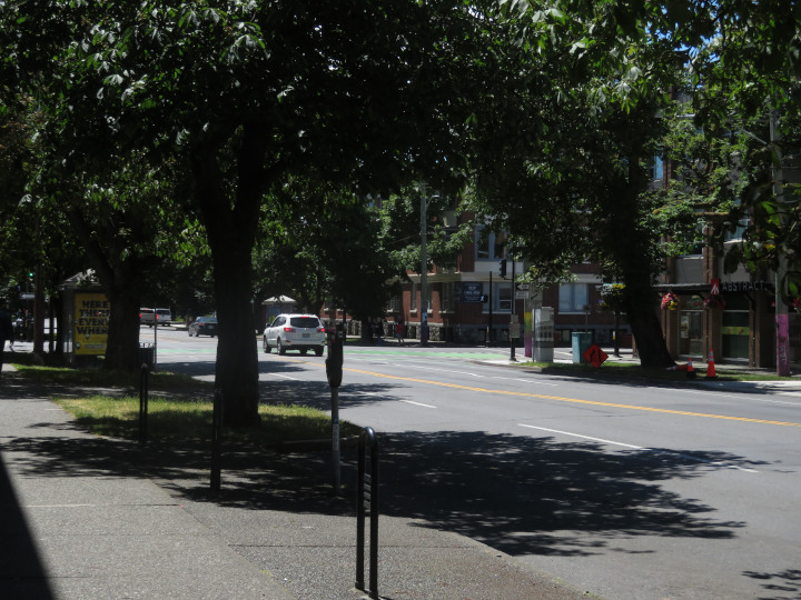 Photo of
              shade on city streets provided by street trees