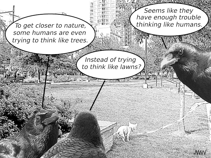 Thinking like a pigeon