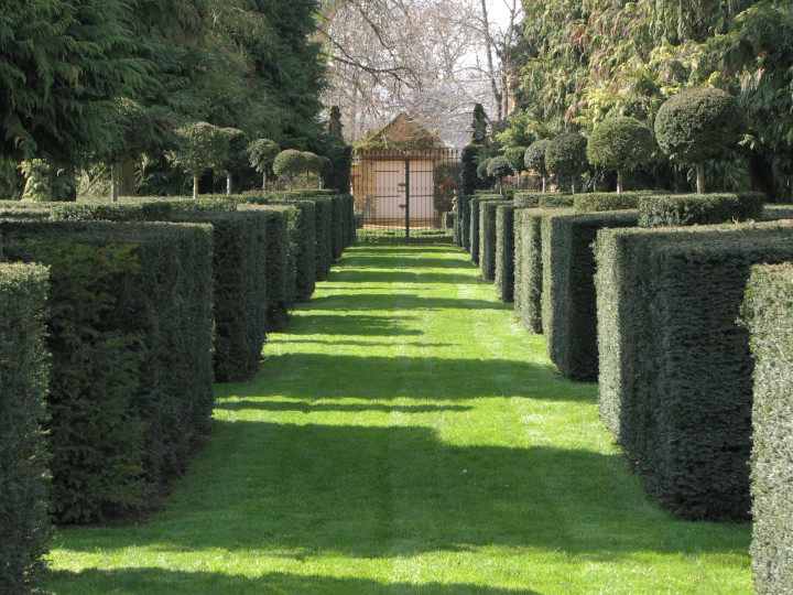 Photo of
                extensive topiary with shrubbery clipped into green
                cubes with round green globes sticking up