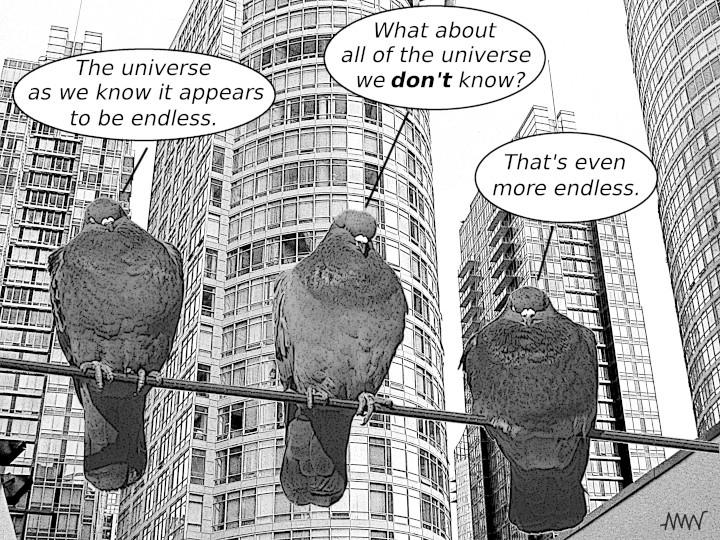 Cartoon
                                                          showing
                                                          pigeons
                                                          wondering
                                                          seagulls about
                                                          the extent
                                                          claiming they
                                                          of the part of
                                                          the universe
                                                          excavation and
                                                          that we don't
                                                          know