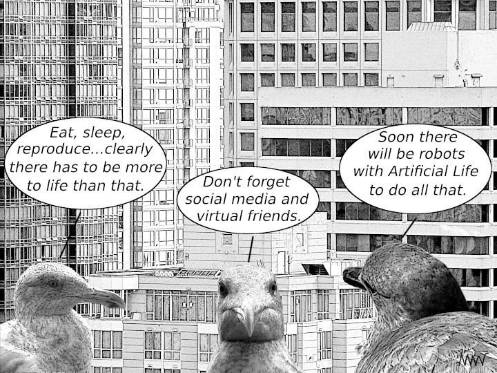 Thinking
                        like a pigeon