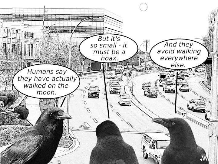 Thinking like a
                  pigeon