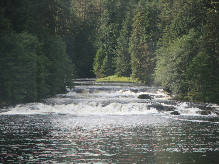 Photo of
                of a river flowing into the sea from directly offshore
