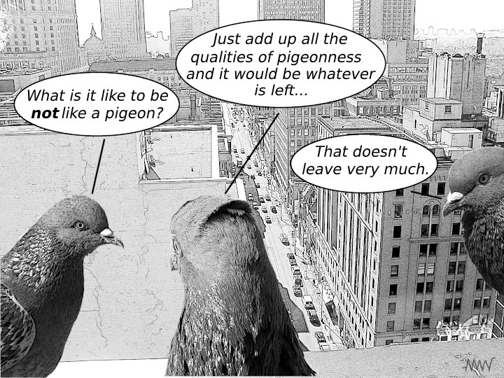 Not thinking like a pigeon