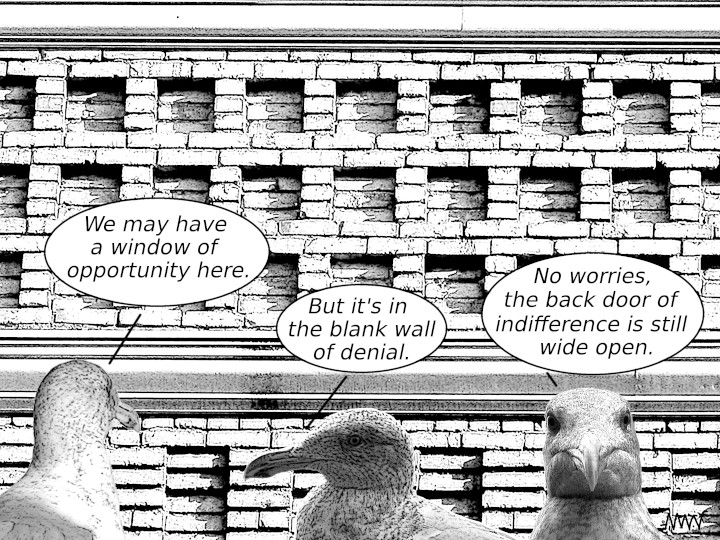 Cartoon
                                                          of seaguls of
                                                          two pigeons
                                                          looking at a
                                                          brick wall own
                                                          brains to and
                                                          wondering how
                                                          it their
                                                          brains could
                                                          possibly a
                                                          window of
                                                          opportunity