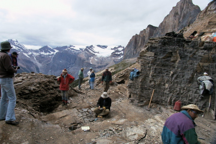 Photo of Walcott
              Quarry part of the Burgess Shale formation in the Canadian
              Rockies