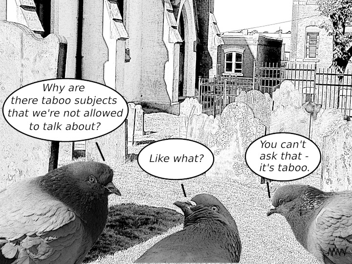 Cartoon
                                                          showing
                                                          pigeons
                                                          discussing
                                                          what taboo
                                                          means