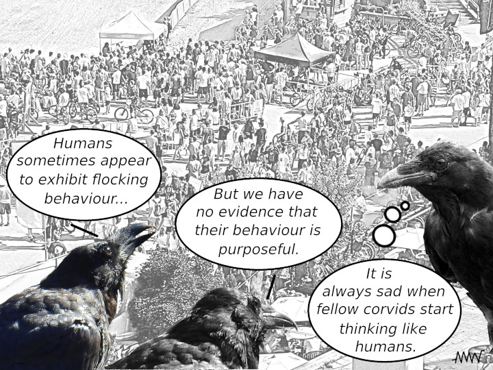 Cartoon
                                                          showing ravens
                                                          discussing
                                                          whether humans
                                                          know when they
                                                          exhibit
                                                          measuring
                                                          flocking
                                                          behaviour